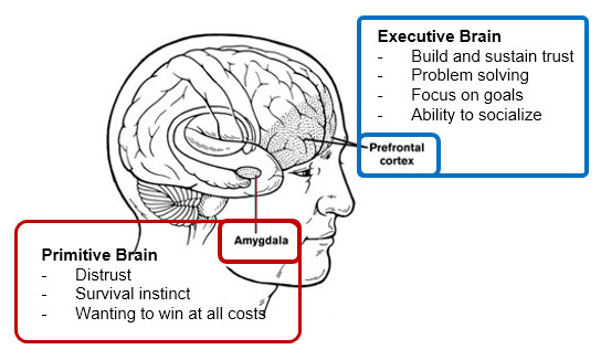 Image of the different Parts of the brain and their function