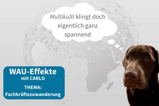 Carlo und die Fachkräftezuwanderung