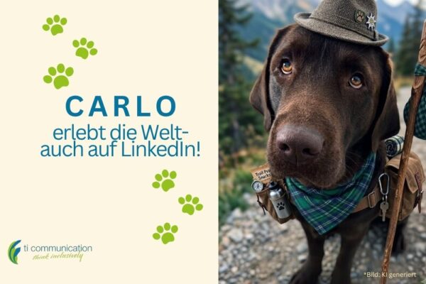 Carlo, der Hund, entdeckt die Welt als Wanderer - Auch auf LinkedIn